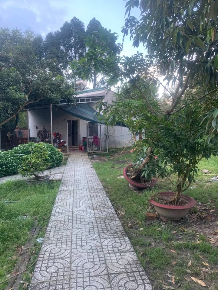 Bán nhà vườn sầu riêng Phú An, Tân Phú 15.000m² giá 7.2 tỷ - Sổ đỏ chính chủ!