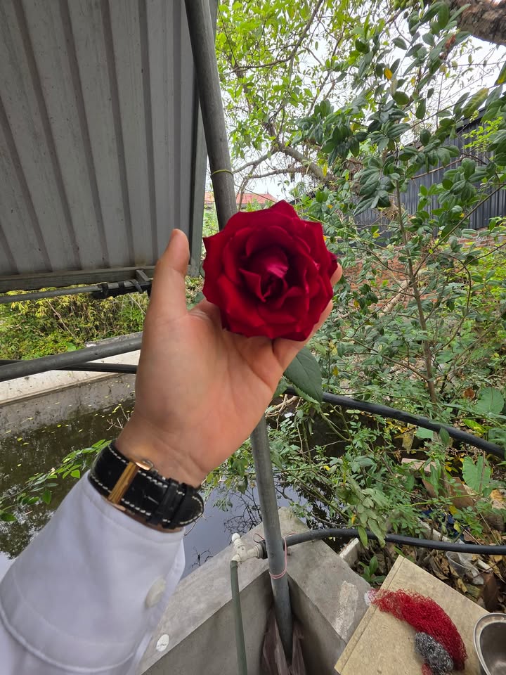 Đất nền Kim Chân Bắc Ninh 240m² giá 7 tỷ - Vị trí đắc địa ngay trục chính!