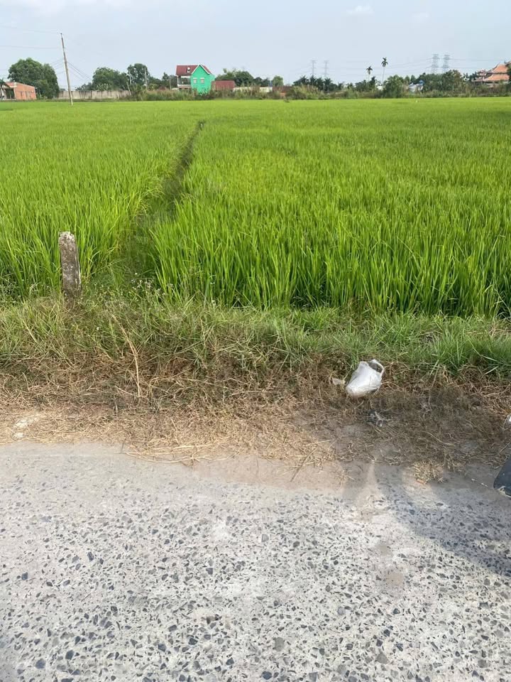 Đất thổ cư 280m² tại Ấp Nhơn Hòa, Xã Mỹ Hạnh Nam - Giá thỏa thuận hấp dẫn!