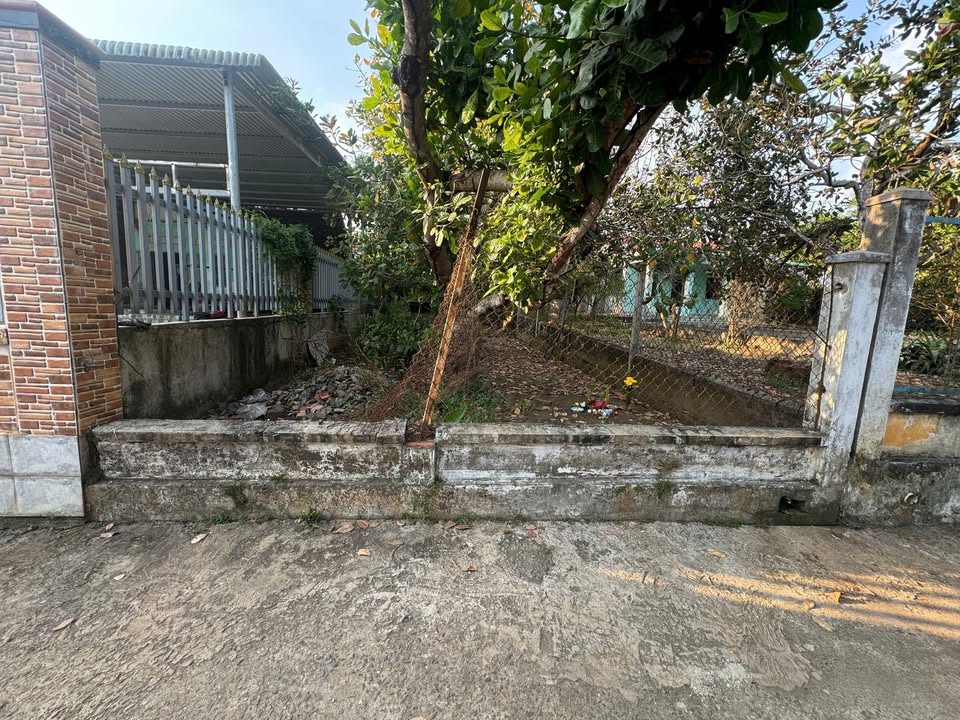 Đất nền Bàu Cạn 120m² giá 1.5 tỷ - Sổ riêng chính chủ!