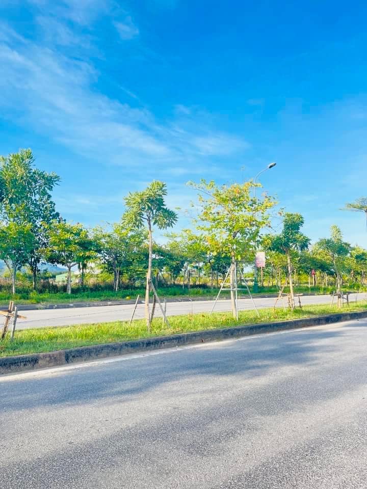 Đất nền tái định cư Nam Cầu Cày Phường Đồng Môn 245m² giá 5 tỷ - Cơ hội đầu tư tuyệt vời!