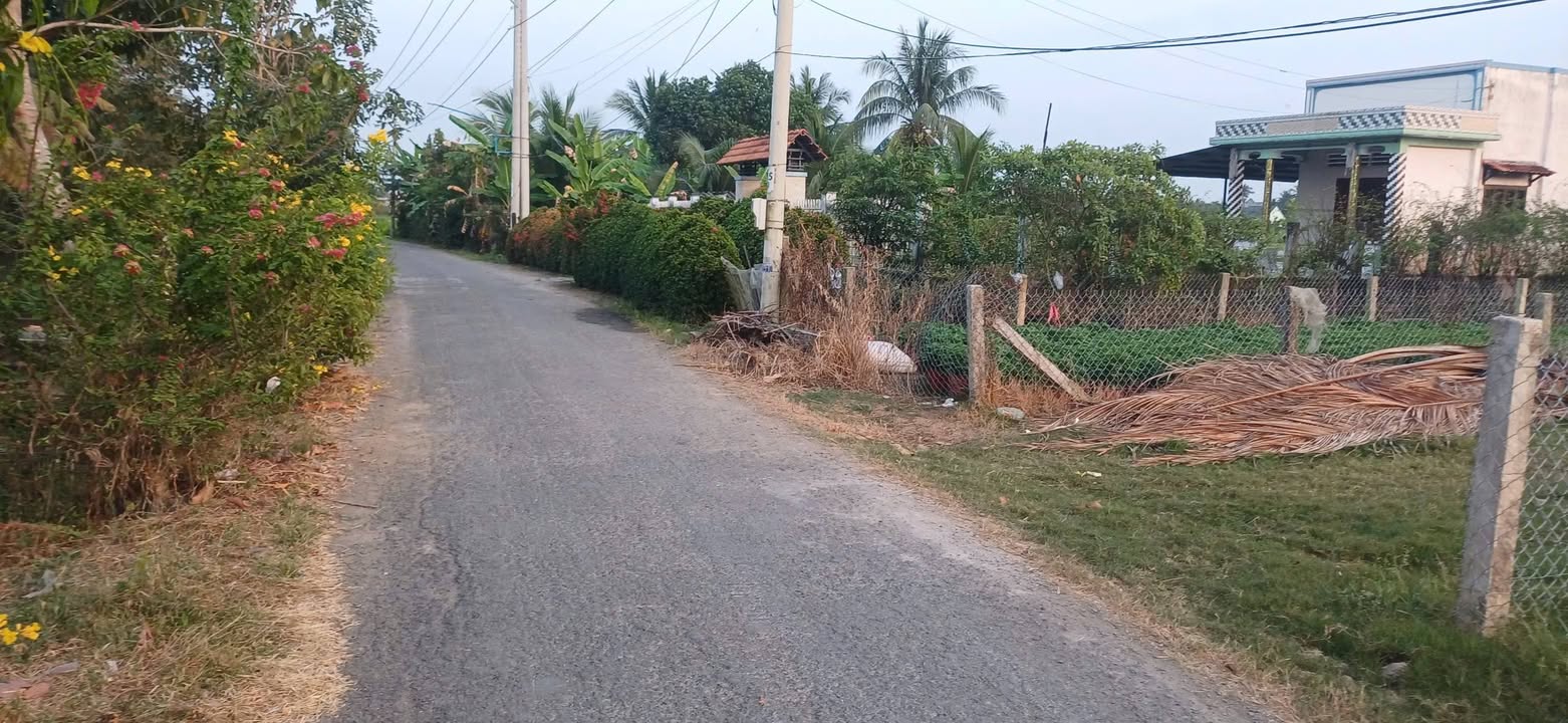 Đất thổ cư 100% mặt tiền nhựa 5m tại Vĩnh Bình, Gò Công Tây - Giá tốt không thể bỏ lỡ!