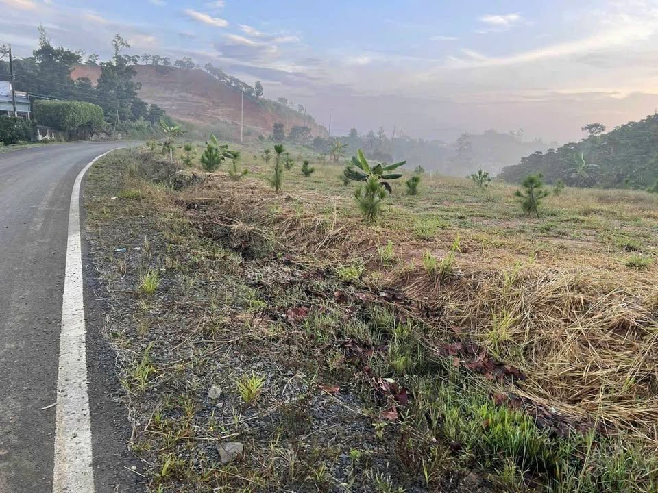 Đất mặt tiền Y Lan, Bảo Lộc 4733m² giá 9 tỷ - Cơ hội đầu tư hấp dẫn!