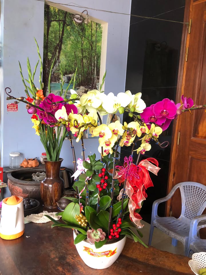 Đất nền Nghĩa Thương, Tư Nghĩa 954m² giá 1 tỷ - Đầu tư sinh lời ngay!