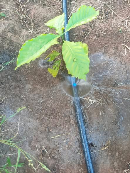 Đất Farm 14,400m² tại thôn 9, Phường 6, Quận Tân Bình - Cơ hội đầu tư hấp dẫn!