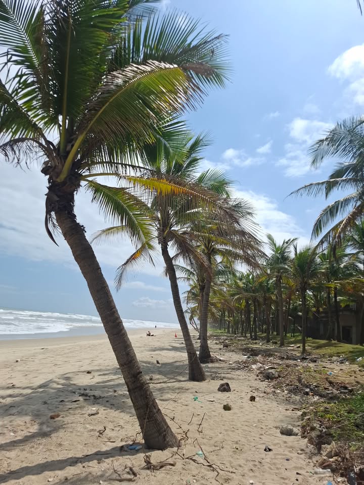 Đất Vàng Ngũ Hành Sơn 370m² Mặt Tiền Kinh Doanh - Sổ Đỏ Sẵn Sàng