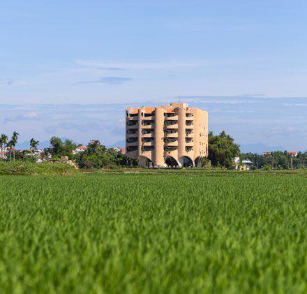 Đất Mặt Tiền Lý Thái Tổ Hội An 193m² - View Đồng Lúa 16 Tỷ