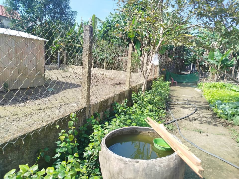 Đất nền Hòa Vang Đà Nẵng 184m² giá 1.35 tỷ - Sổ đỏ chính chủ, thương lượng gấp!