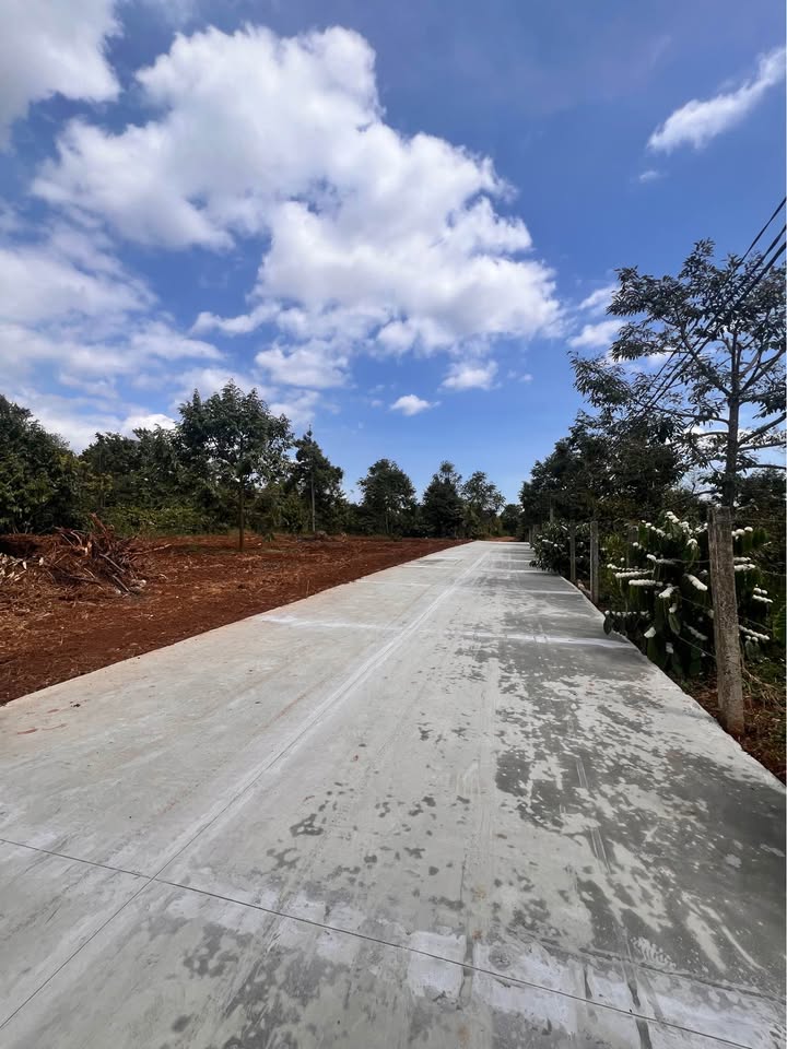 Đất nền P. Tân An, Buôn Ma Thuột 100m² giá 970 triệu - Cơ hội đầu tư hấp dẫn!