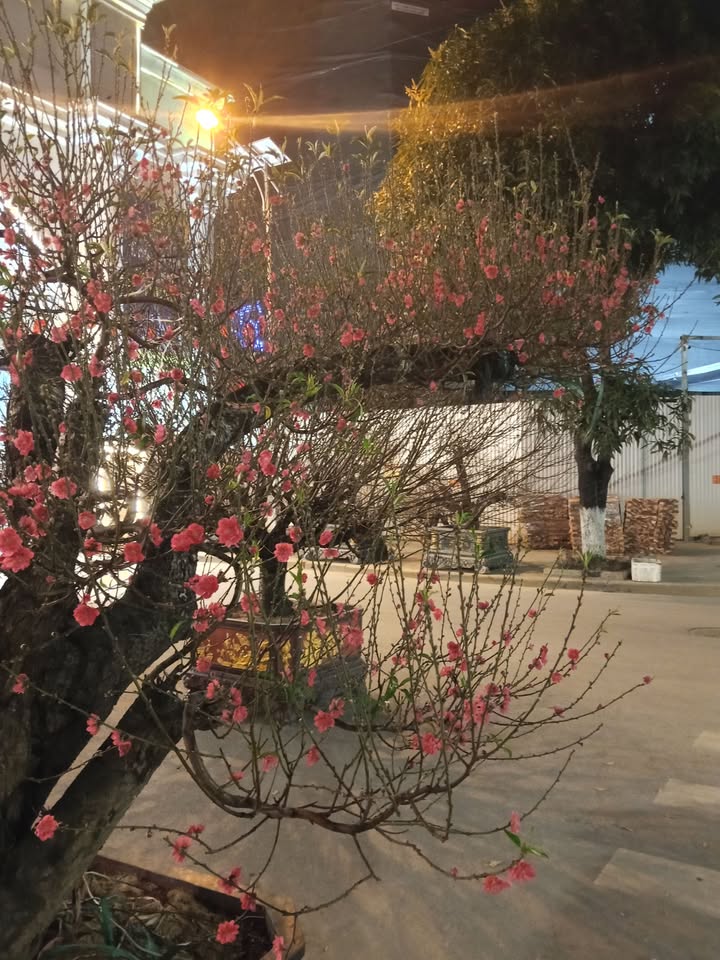 Nhà 5 Tầng 40m² KĐT Tân Tây Đô - Sổ Đỏ Chính Chủ, Giá Rẻ Nhất Khu Vực