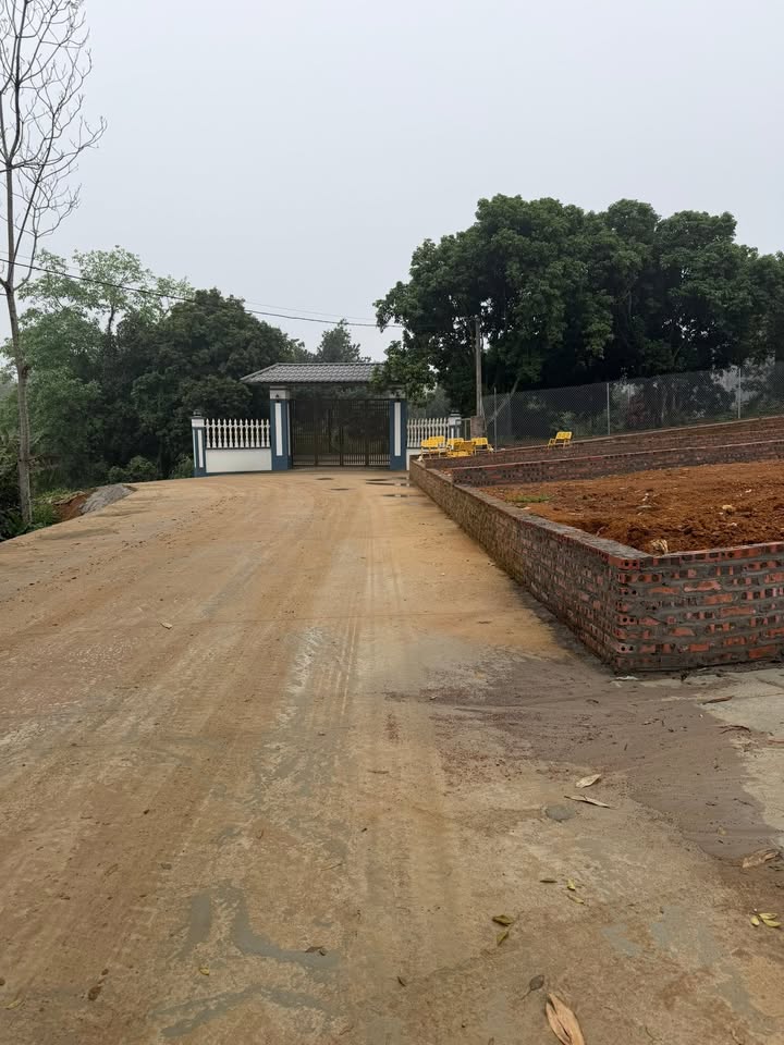 Đất nền 100m² tại xã Đức Thượng, Hoài Đức chỉ 600 triệu - Đầu tư sinh lời cao!