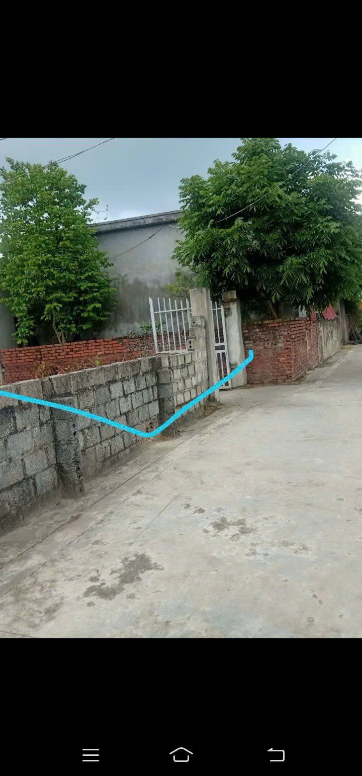 Đất nền Tân Dân - An Lão 100m² giá chỉ 8xx triệu - Sẵn sàng đầu tư!