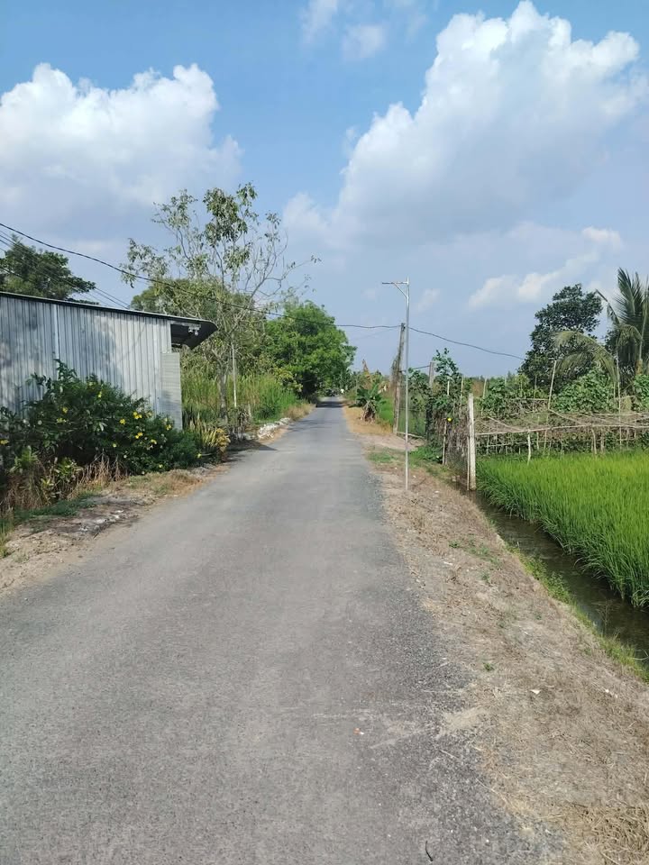 Đất nền Phước Thới, Ô Môn 260m² giá 850 triệu - Đầu tư sinh lời ngay!