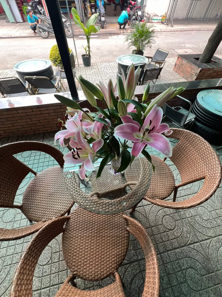 Shophouse Mặt Tiền Đường Vườn Lài, Quận 12, 125m² - Cơ hội kinh doanh tốt!