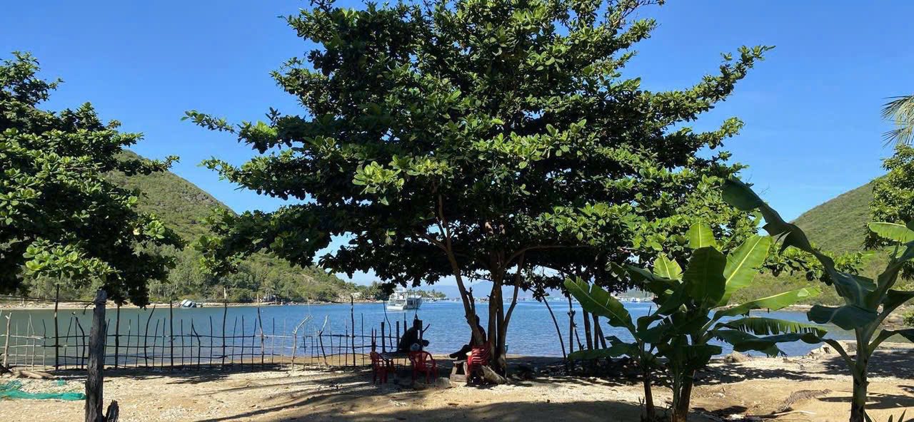 Đất nền du lịch biển đảo Hòn Tre, Nha Trang 16.982m² giá 24 tỷ - Cơ hội đầu tư tuyệt vời!