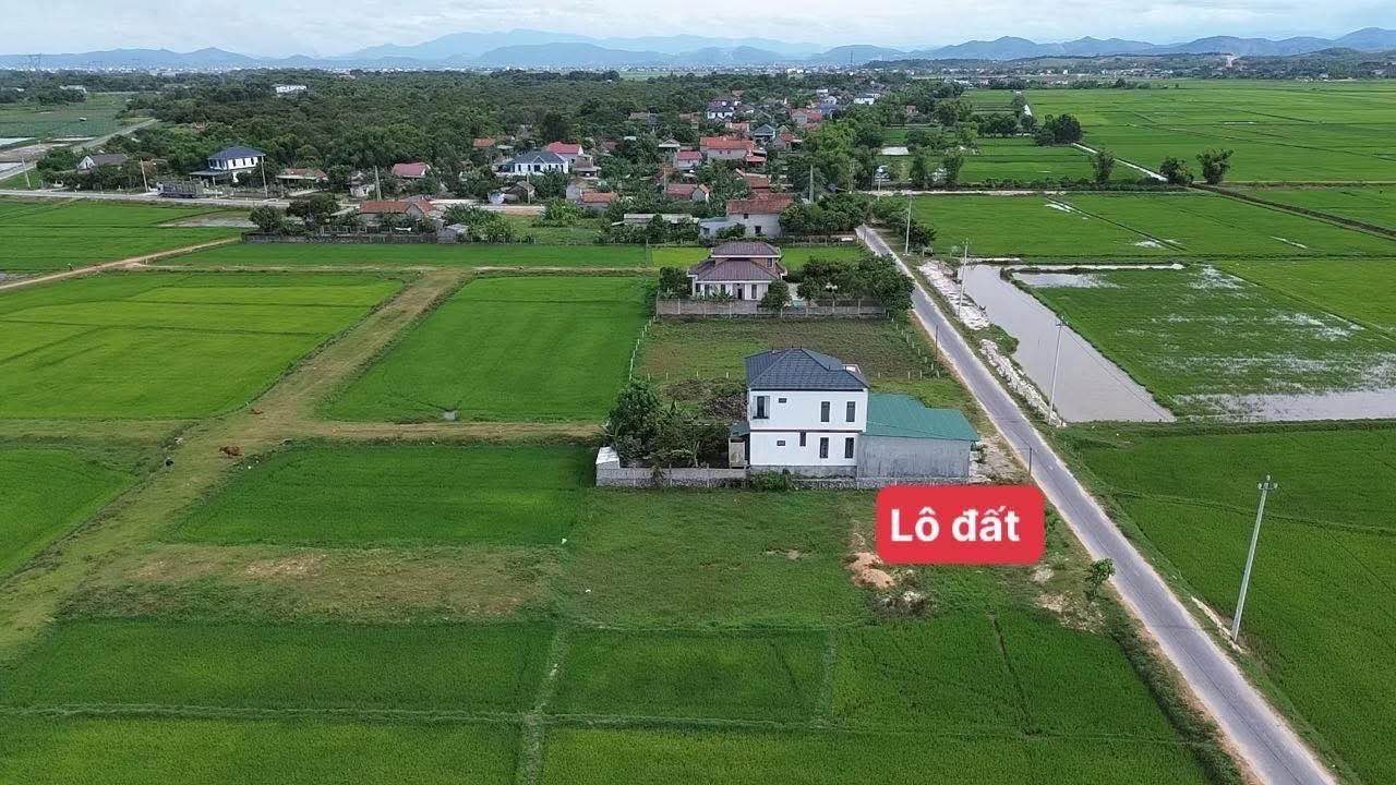 Đất ở thôn Đông Dương, xã Quảng Phương, 420m² - Giá tốt, đầu tư sinh lời!