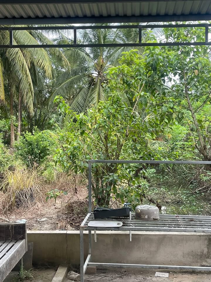 Đất nền 102.7m² Phú Hưng, Bến Tre - Sổ đỏ đô thị, giá 350 triệu