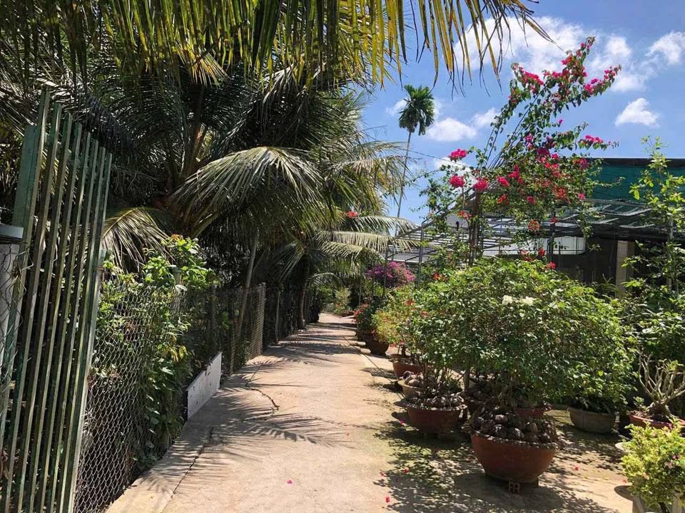 Vườn sầu riêng 3600m² tại Ấp Phú Mỹ, Bến Tre - Giá 2.16 tỷ, thương lượng trực tiếp!