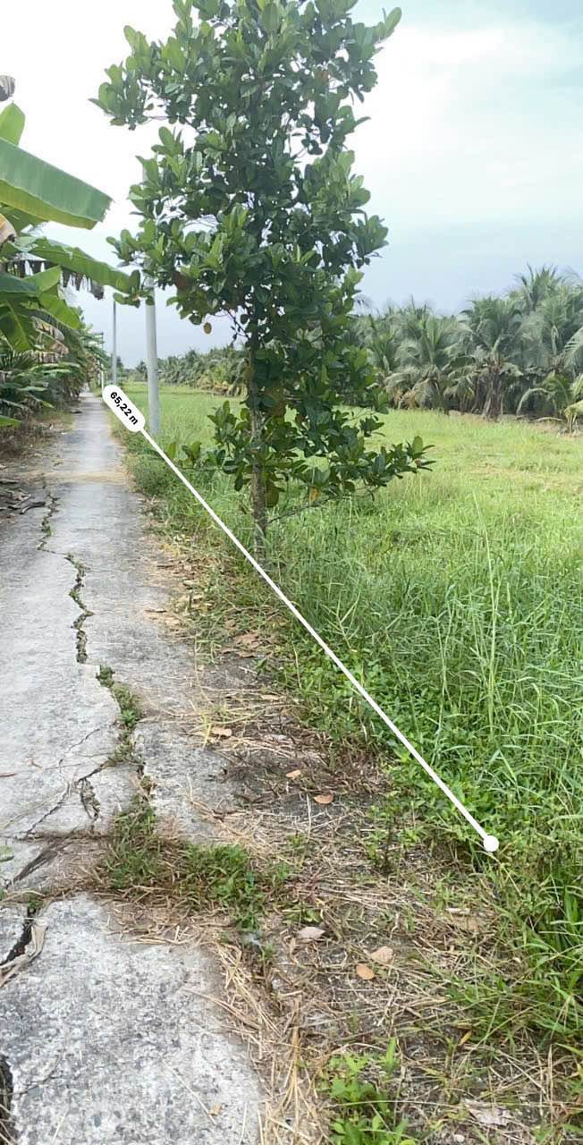 Đất nền tại Xã Bình Phú, TP Bến Tre 192m² giá chỉ 850 triệu - Cơ hội đầu tư hấp dẫn!