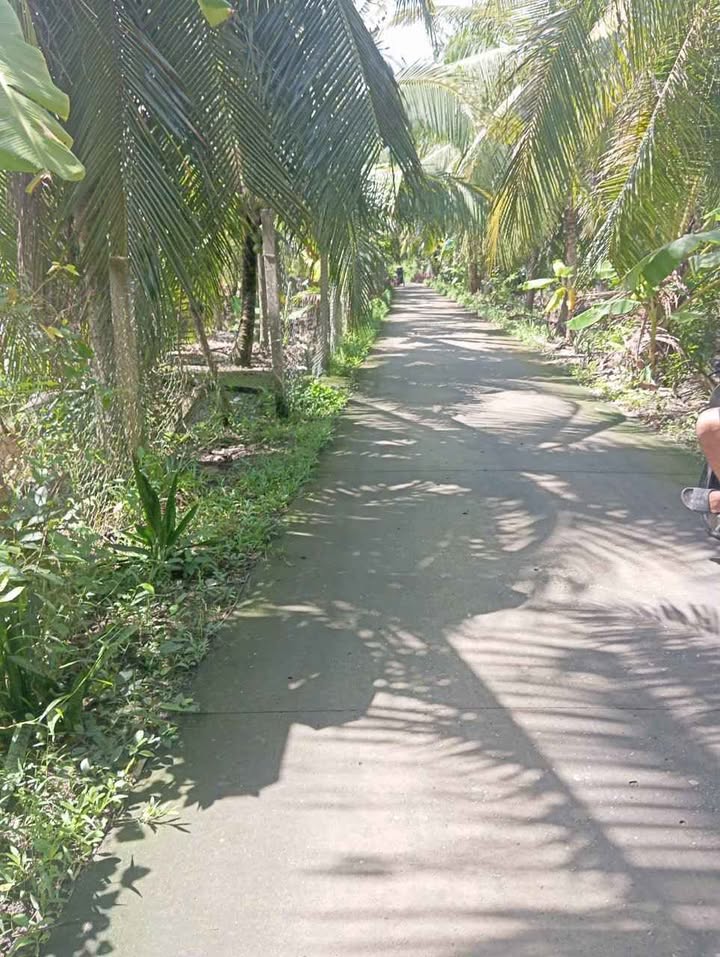 Đất mặt tiền Lương Phú 3000m² giá 3.2 tỷ - Đầu tư sinh lời lý tưởng!