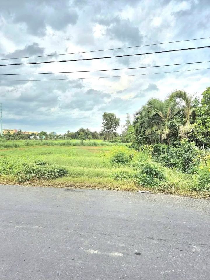 Đất nền mặt tiền nhựa Long Chánh 250m² giá 1,25 tỷ - Vị trí đắc địa ngay QL50!