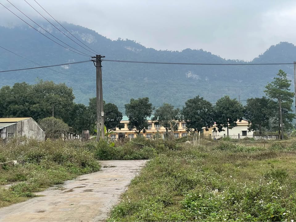 Đất nền Xã Đạo Đức, Huyện Vị Xuyên, 100m² giá 300 triệu - Đầu tư lý tưởng!