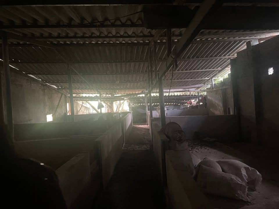 Đất chăn nuôi tại Thôn Lùng Sinh, Xã Việt Lâm, 400m² - Giá chỉ 1 tỷ!