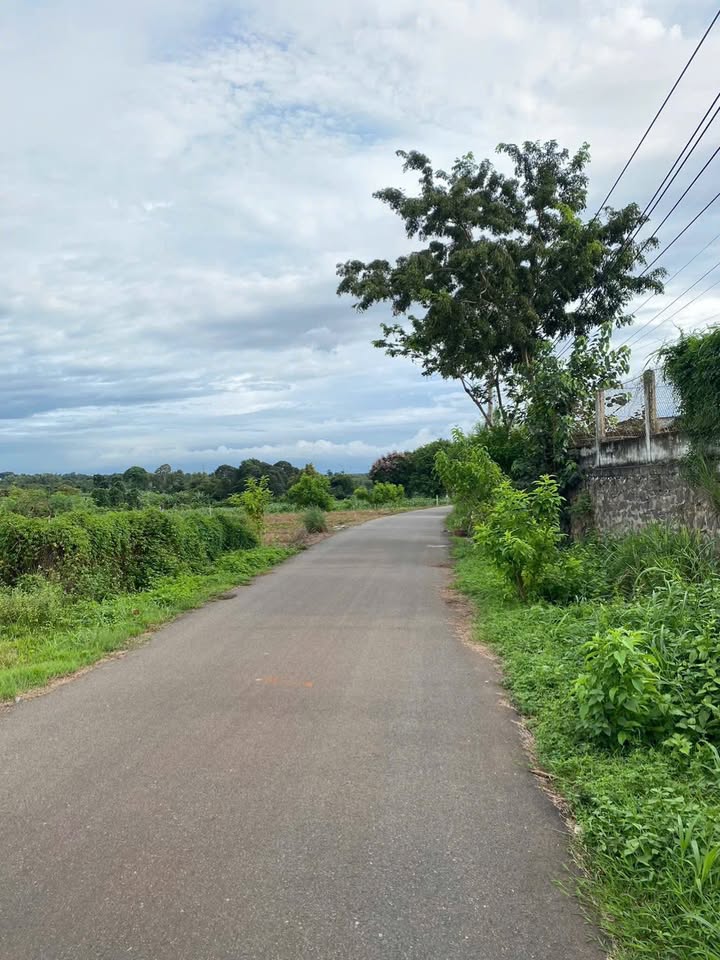 Đất mặt tiền nhựa 8m xã Đá Bạc, Châu Đức 3.600m² giá 8.5 tỷ - Pháp lý rõ ràng!