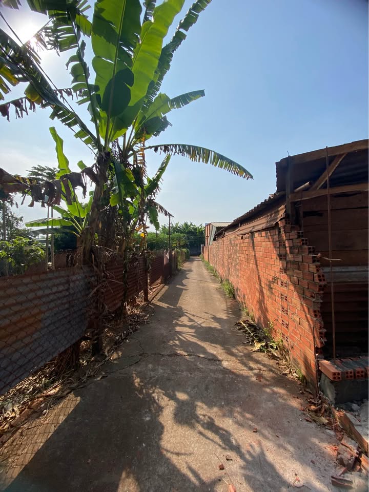 Đất nền Xã Long Phước, Bà Rịa 166m² giá chỉ 1.2 tỷ - Đầu tư sinh lời ngay!