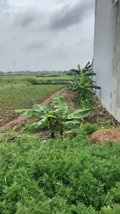 Đất nền tại xã Minh Khai, huyện Hưng Hà, 111m² giá 1.6 tỷ - Cơ hội đầu tư tuyệt vời!