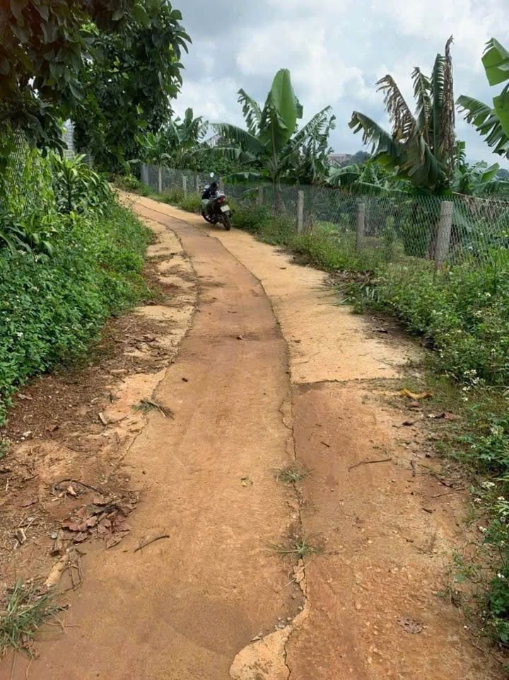 Đất thổ cư Hòa Ninh, Di Linh 4.800m² giá 7.2 tỷ - Cơ hội đầu tư hấp dẫn!