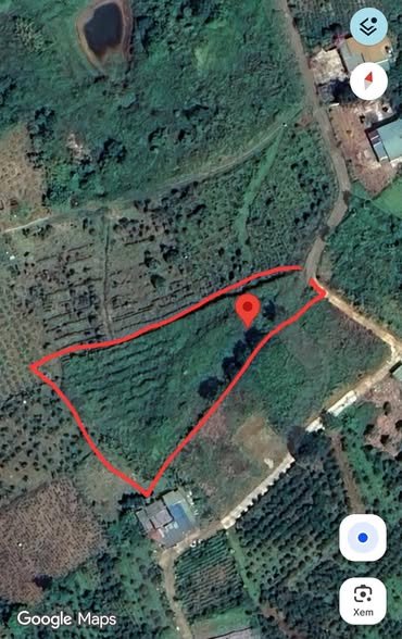 Đất Farm Thôn 6, Đại Lào, Bảo Lộc 1.675m² giá 2 tỷ - Thích hợp nghỉ dưỡng cuối tuần!