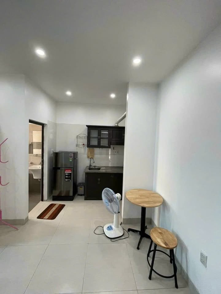 Cho thuê căn hộ 1 ngủ Nguyễn Bỉnh Khiêm, HP - Giá 4 triệu/tháng