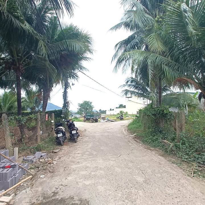 Đất mặt tiền Gò Đại, Diên Sơn 93m² giá chỉ 1.099 tỷ - Đầu tư sinh lời ngay!