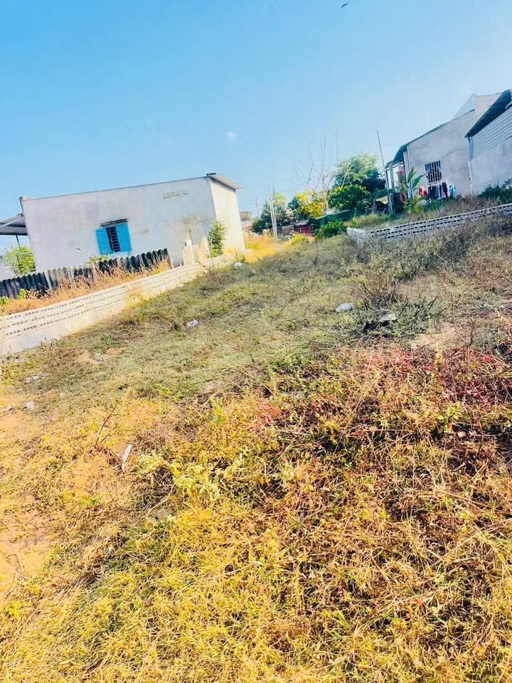 Đất nền Khu phố 8 Đức Long 350m² giá chỉ 280 triệu - Đầu tư sinh lời cao!