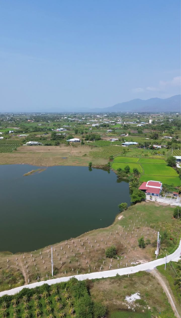 Đất Vườn Hàm Liêm 1500m² - View Hồ Trực Diện, Giá Tốt Trước Tết