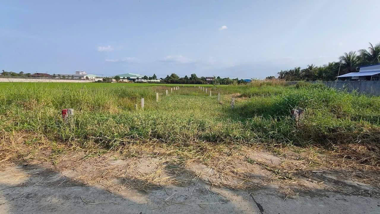 Đất thổ cư 375m² tại xã Vĩnh Thành, Châu Thành, An Giang - Giá chỉ từ 500 triệu!