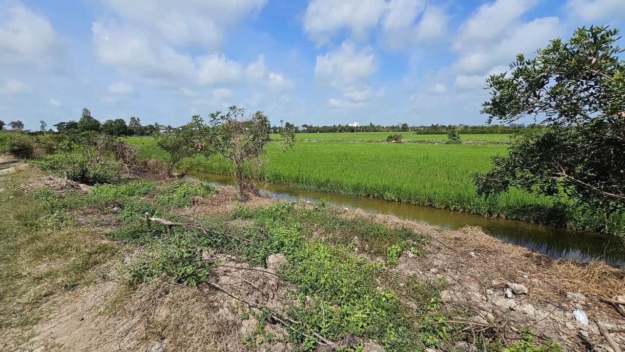 Bán đất thổ cư Vĩnh Lợi, Châu Thành, An Giang 150m² giá 200 triệu - Đầu tư sinh lời!