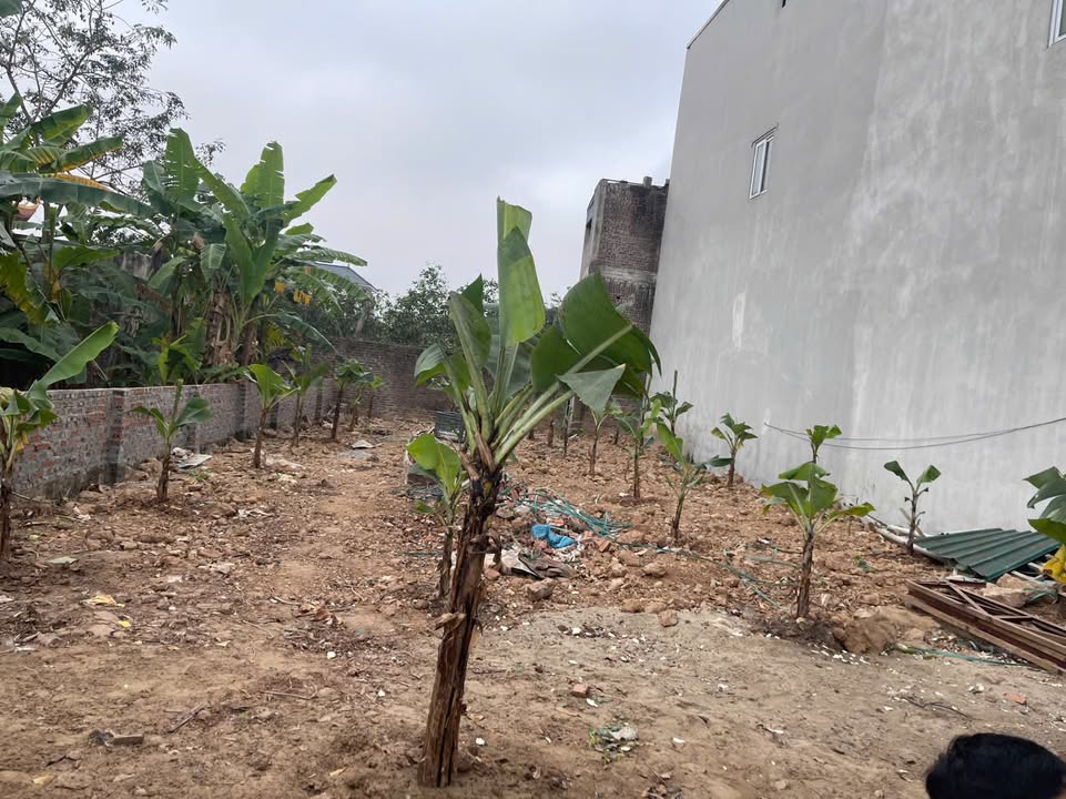 Đất thổ cư Phường Tiền Châu, Phúc Yên 103m² giá chỉ 2 tỷ - Đầu tư sinh lời ngay!