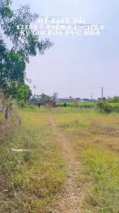 Đất vườn 874m² tại xã Mỹ Hạnh Nam, 1.45 tỷ - Cơ hội đầu tư tuyệt vời!