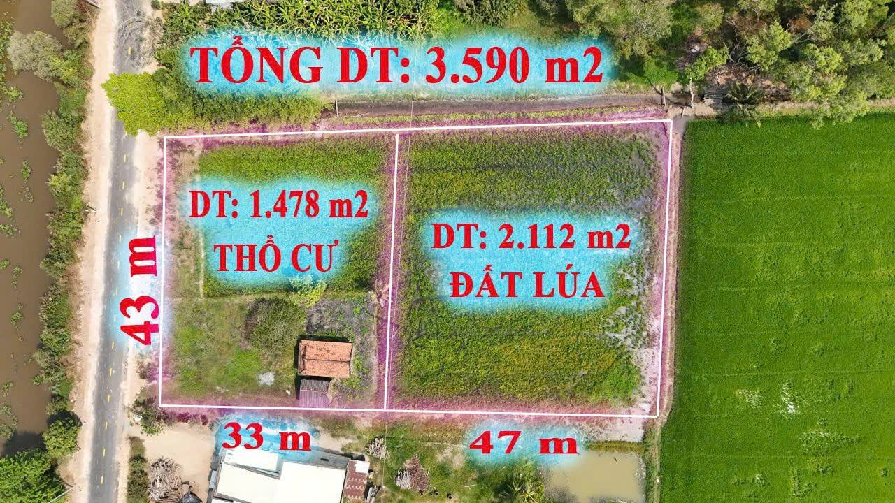 Đất nền đẹp tại huyện Đức Huệ 3600m² - Sổ hồng chính chủ, giá thương lượng!