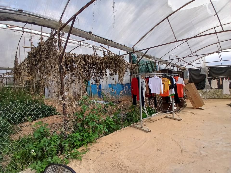 Đất nền phường 8 Đà Lạt 94m² giá chỉ 1.1 tỷ - Vị trí đẹp, sổ đỏ chính chủ!