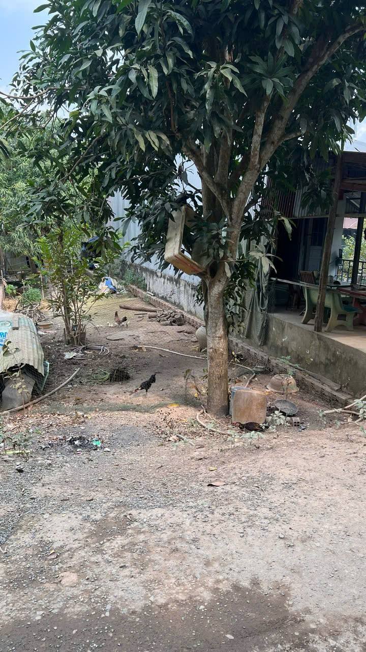 Đất nền mặt tiền đường Kênh xáng AB, An Giang 168m² giá 370 triệu - Cơ hội đầu tư tuyệt vời!