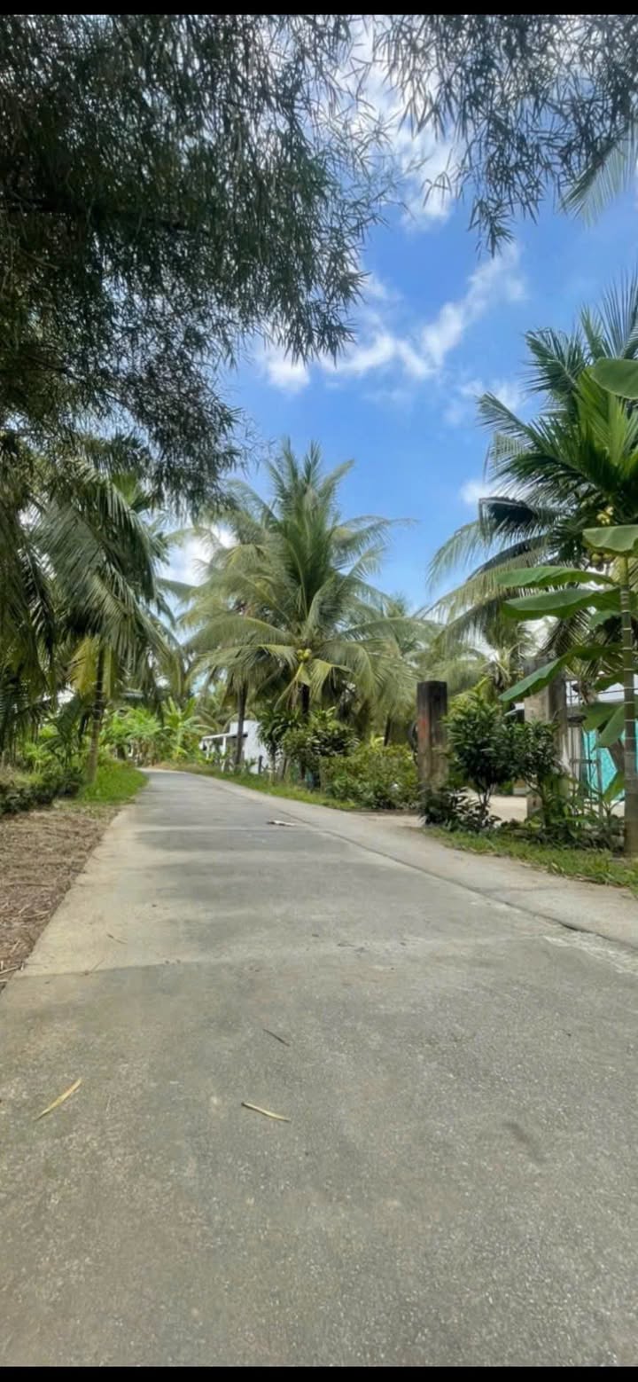 Đất thổ cư 600m² tại Ấp Bồ Đề, Kế Thành, Kế Sách - Sổ riêng, giá 450 triệu!