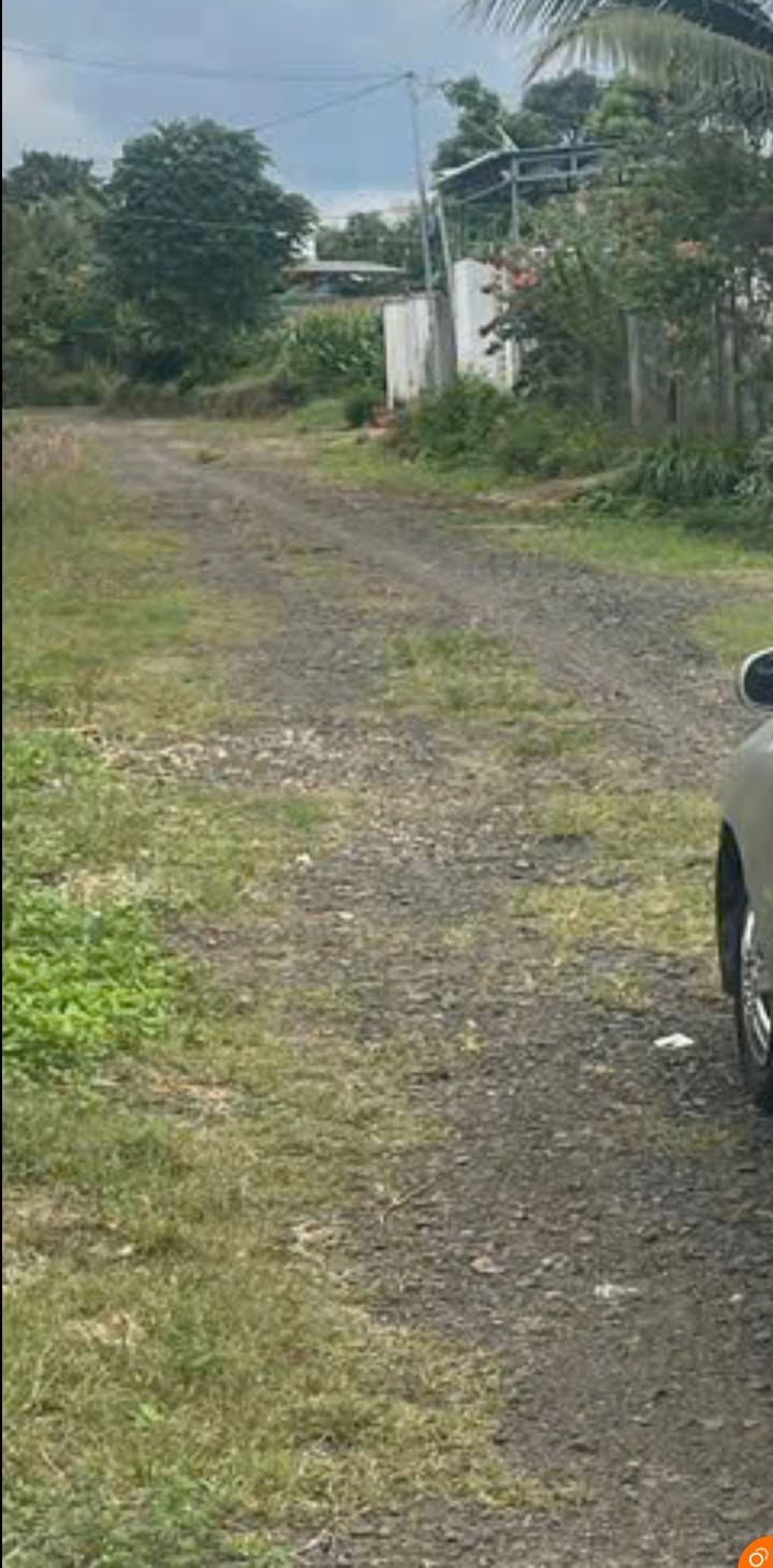 Đất thổ cư 125m² tại TDP 8, Buôn Ma Thuột giá 800 triệu - Cơ hội đầu tư hấp dẫn!