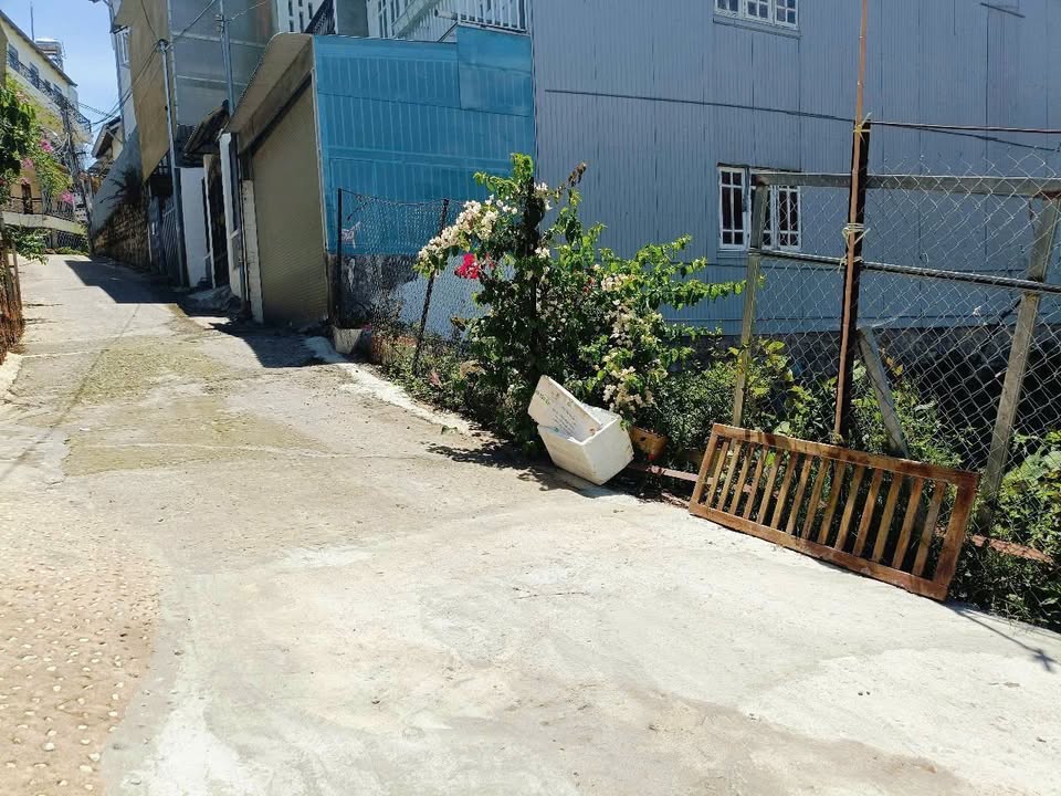 Bán Đất Đà Lạt 248m² Trần Thái Tông - Kinh doanh tốt, Gần Hồ Xuân Hương