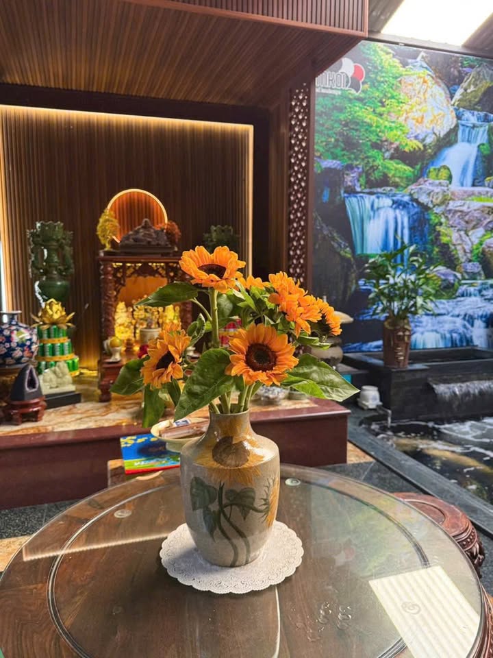 Đất nền 270m² gần Aeon Mall, giá chỉ 4.05 tỷ - Cơ hội đầu tư tuyệt vời!