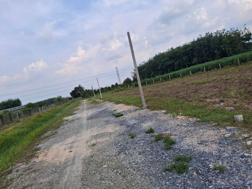 Đất nền 148m² tại Ấp 4, xã Truông Mít, giá 300 triệu - Cơ hội đầu tư hấp dẫn!