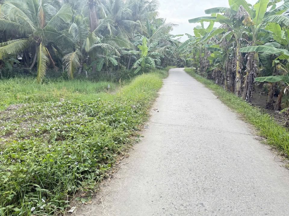 Đất nền Phú Thịnh, 90m² giá 190 triệu - Cơ hội đầu tư tuyệt vời!