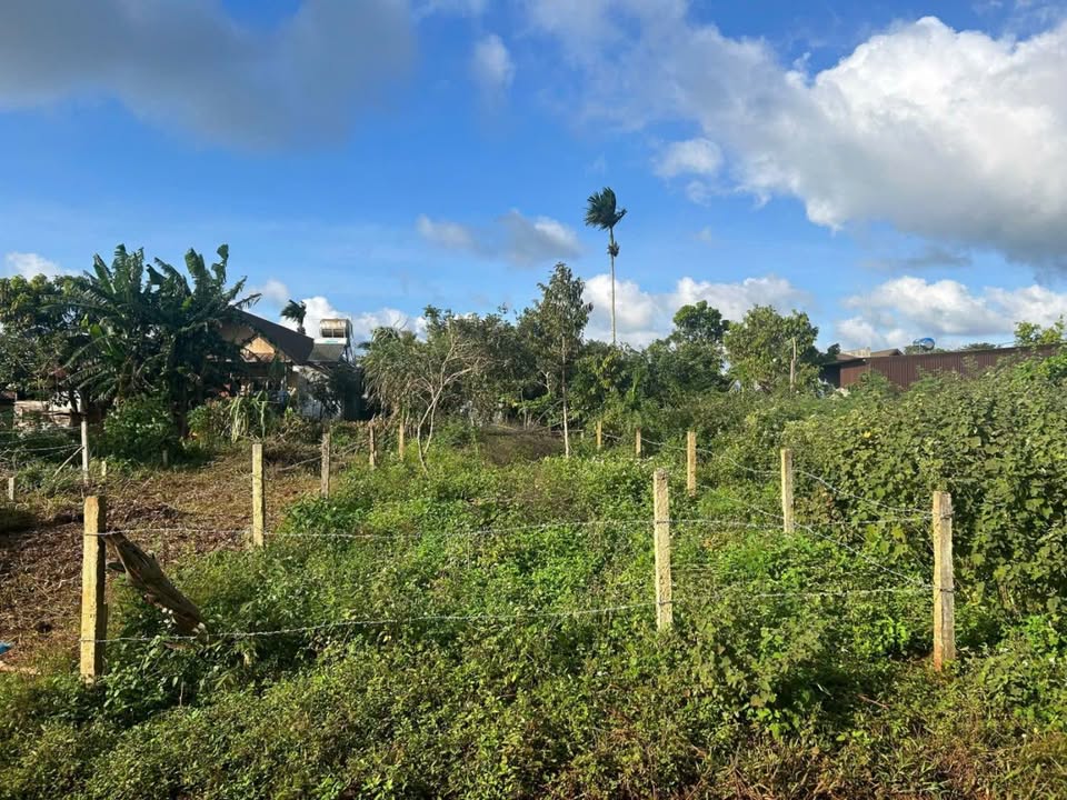 Đất thổ cư 150m² đường Đinh Núp, Buôn Hồ chỉ 990 triệu - Cơ hội đầu tư hấp dẫn!